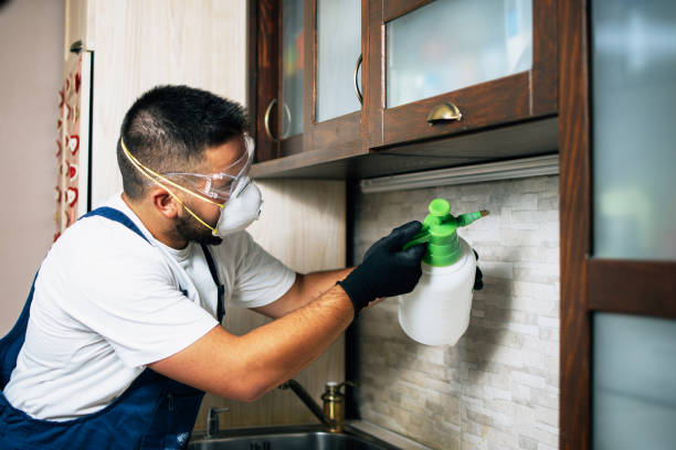 Pest Prevention Services in Dane, WI