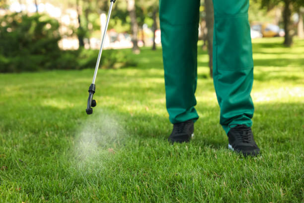 Best Flea Control Services  in Dane, WI
