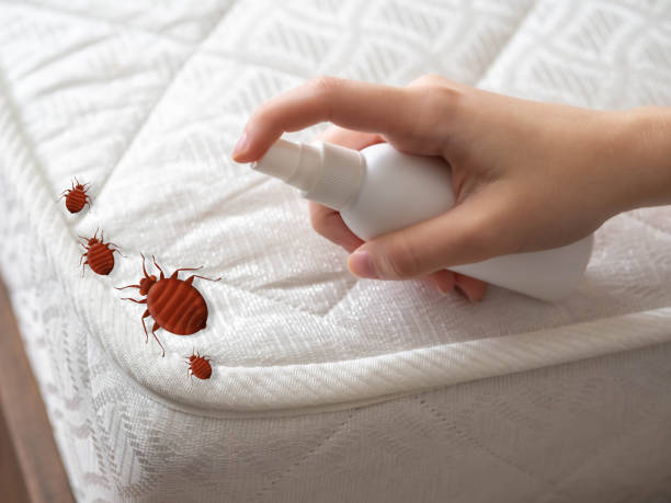 Professional Pest Control in Dane, WI